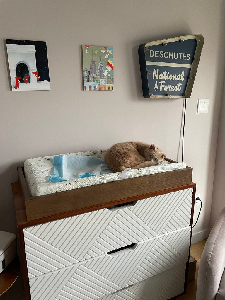 Baby Changing Table with Storage Dresser
