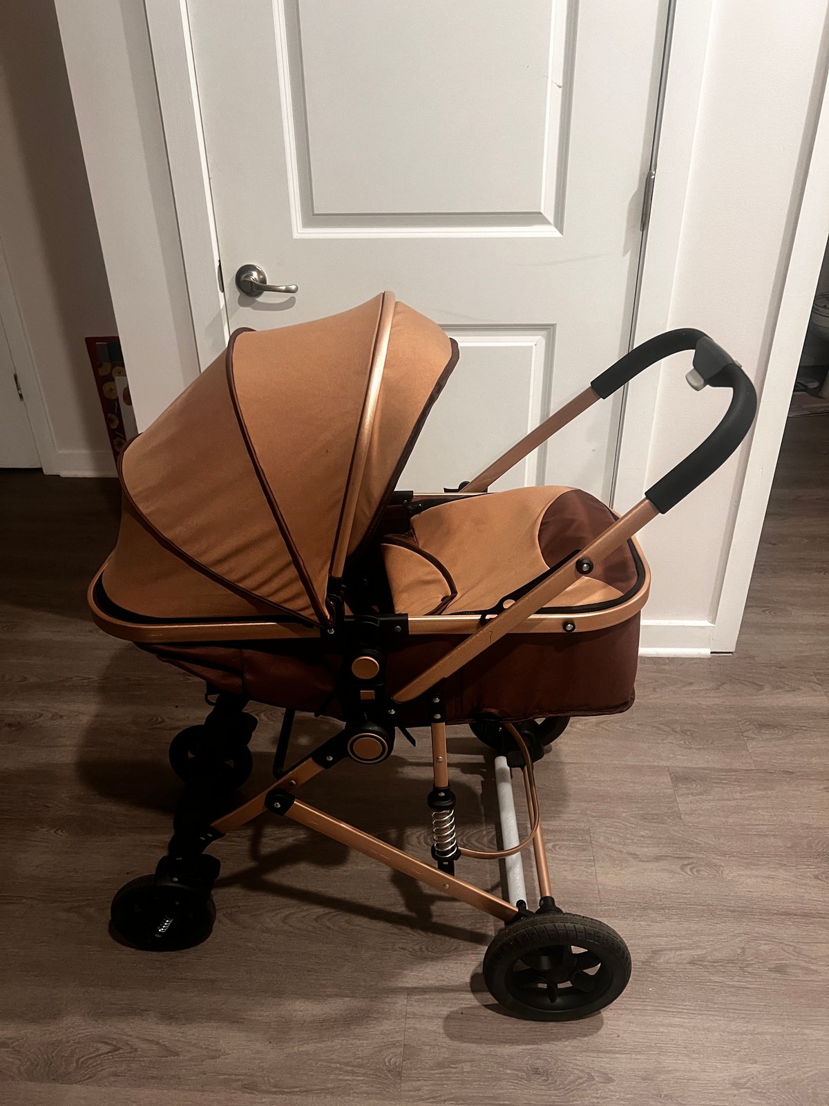 Baby girl Canopy stroller